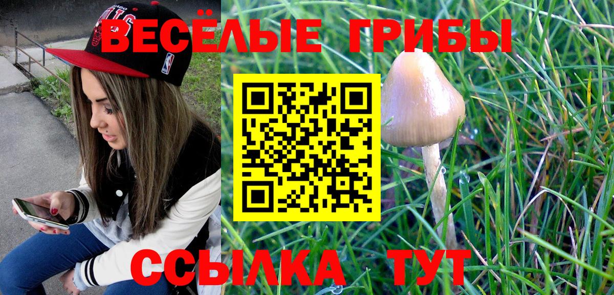 Галлюциногенные грибы мицелий Минусинск