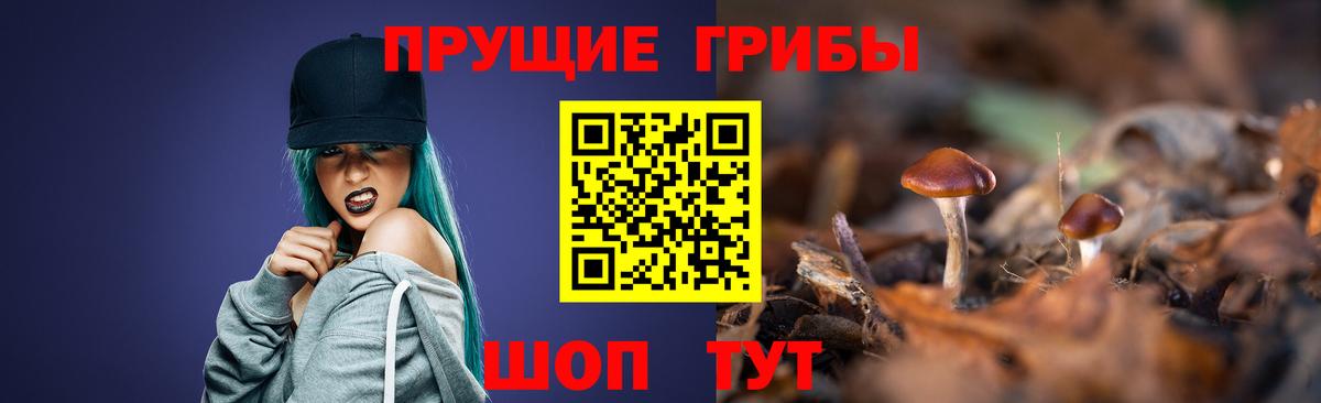 Псилоцибиновые грибы мухоморы  Вход с VPN  Минусинск 